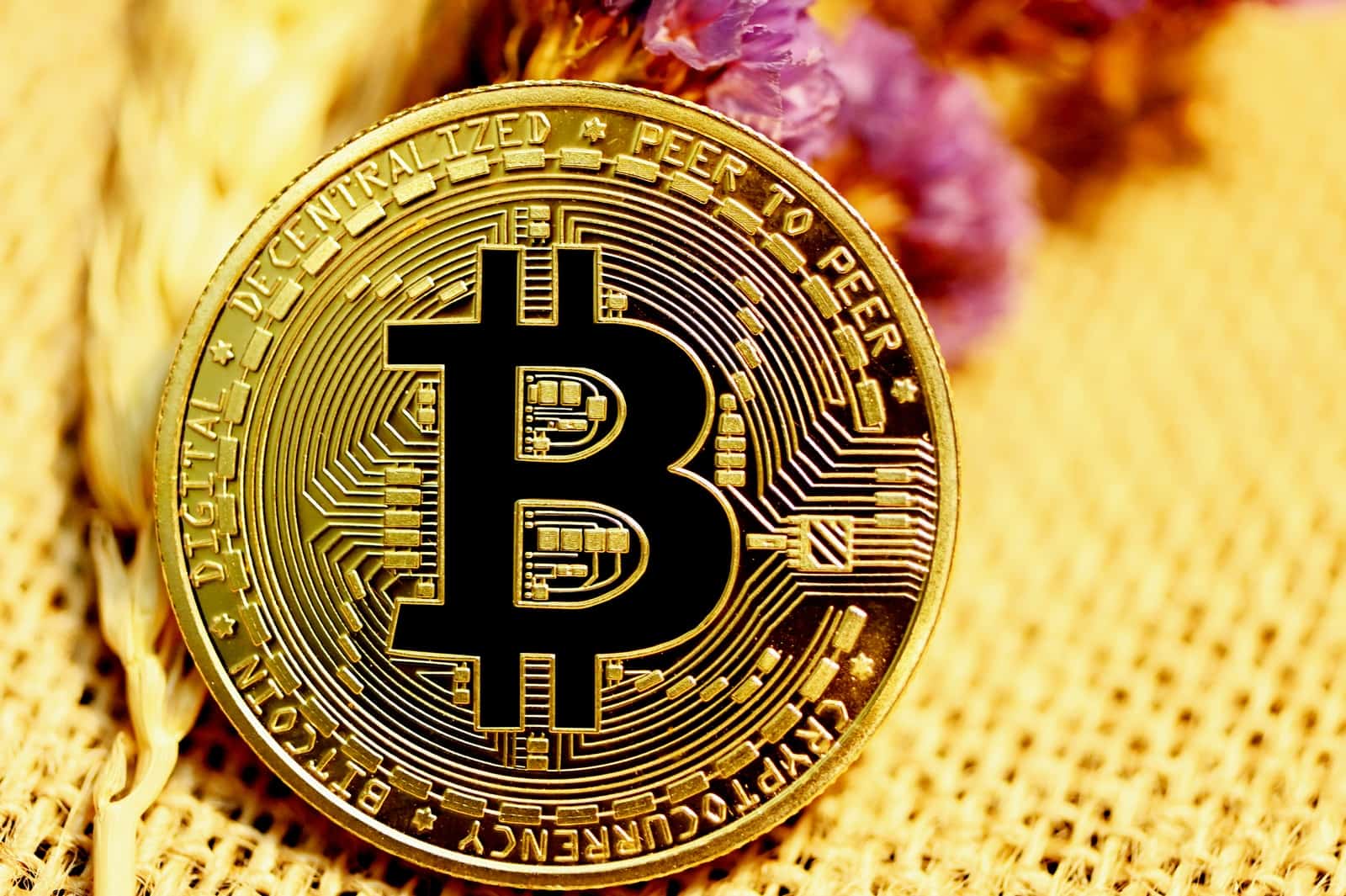"Personne n'est assez grand" pour manipuler Bitcoin, déclare Morehead de Pantera
