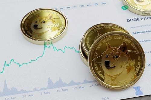 Among MAJOR Cryptocurrencies, Dogecoin and Solana Tokens had the Most Gains