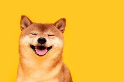 What Is Shiba Inu and How Does It Work?