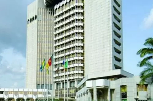 Bank van Centraal-Afrikaanse Staten roept op tot één digitale valuta