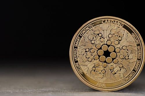 Ledger To Support Over 100 Cardano-Based Tokens