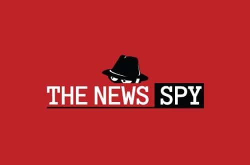 The News Spy Review 2022: мошенничество или закон?