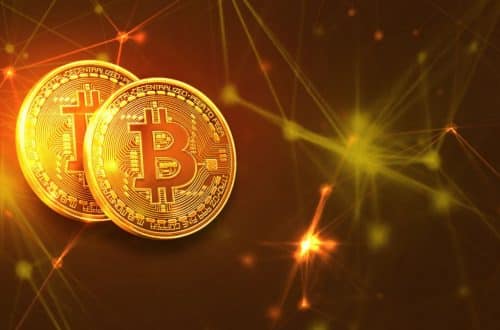 Trouw aan de introductie van Bitcoin-handelsfunctie in brokerageplatform