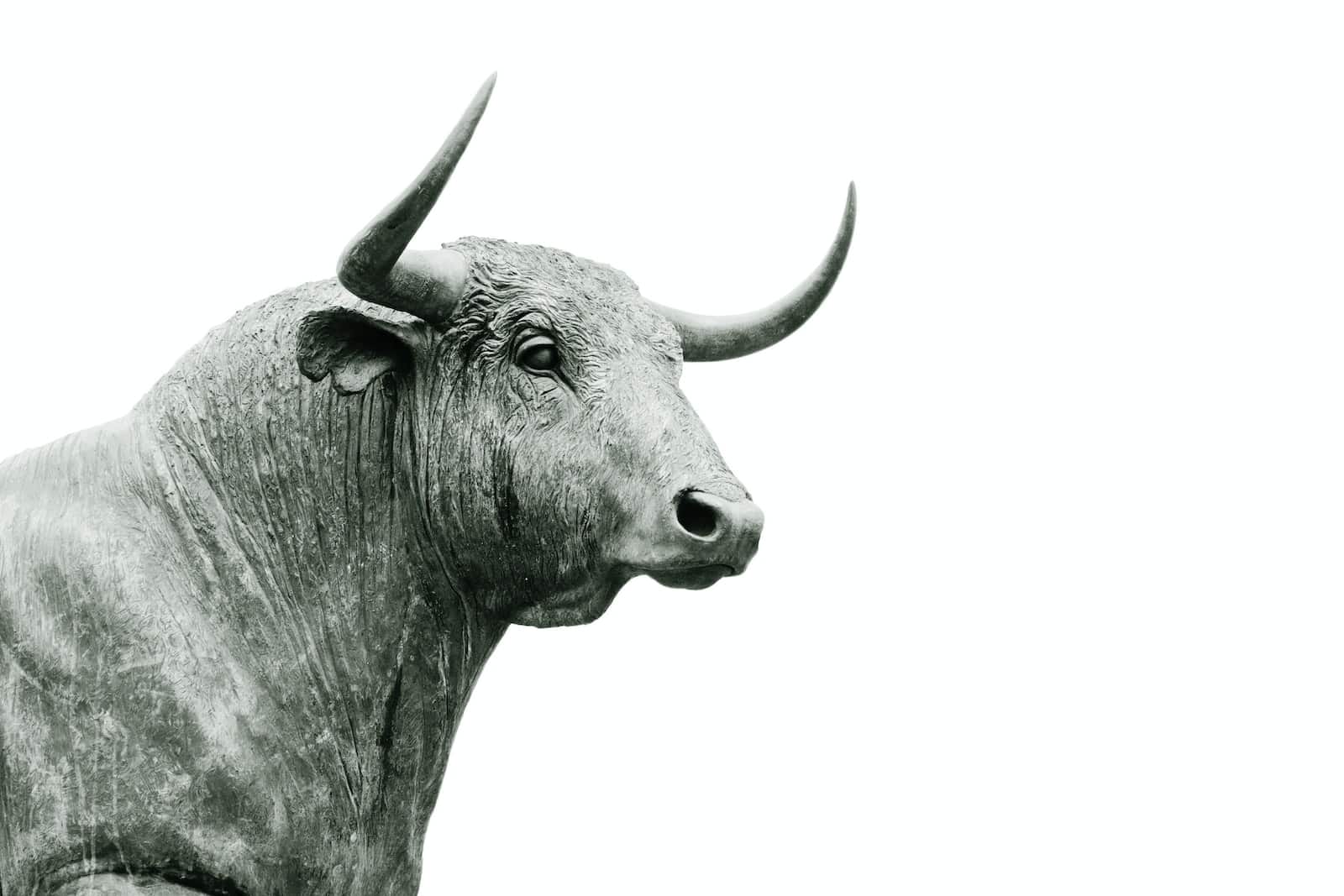 foto de toro en escala de grises