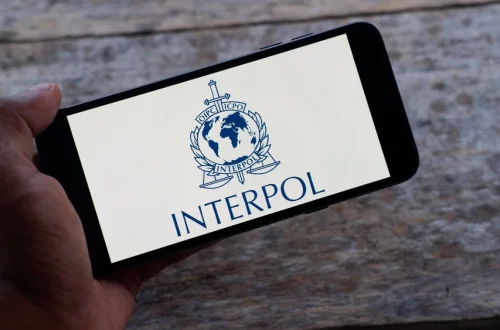 Interpol presenta un nuevo equipo para combatir los delitos criptográficos