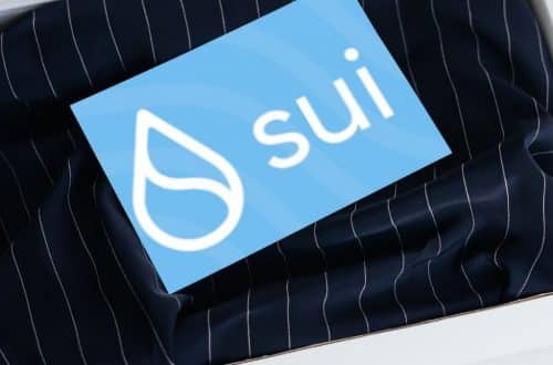 Sui Network debuterar Testnet efter marknadskollaps