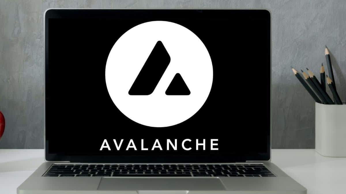 Ava Labs and Amazon's AWS have entered into a partnership “to accelerate enterprise, institutional, and government adoption” of Avalanche.