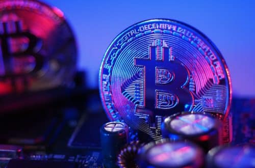 Le PDG de Grayscale critique la SEC pour l'adoption retardée de Bitcoin