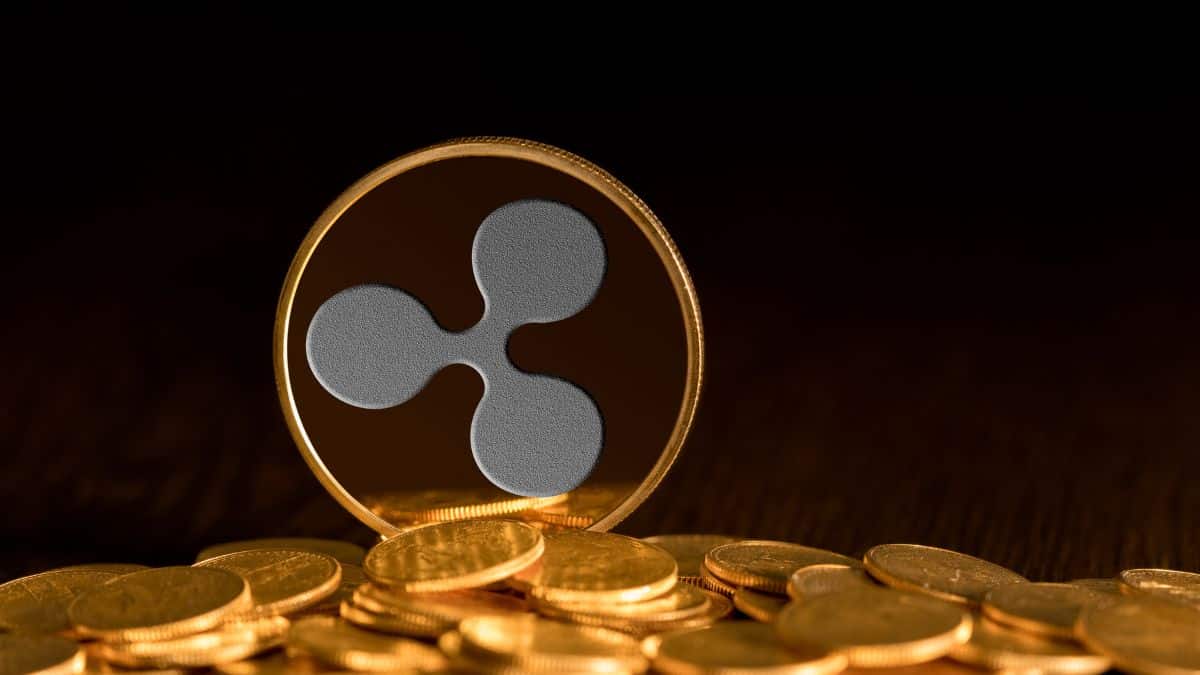 Ripple CEO Brad Garlinghouse stated that the result of his firm's struggle with the SEC will come out in the first half of 2023.
