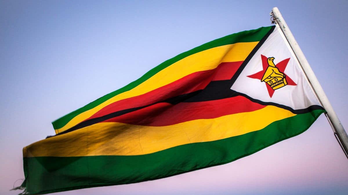 Lo Zimbabwe ha ufficialmente debuttato con la sua valuta digitale sostenuta dall'oro come metodo di pagamento per i cittadini. 