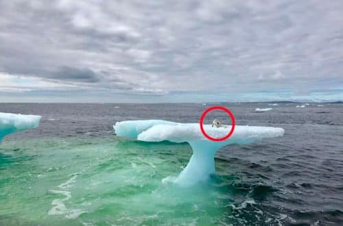 Wat deze vissers op een ijsberg vonden, liet hen versteld staan van ongeloof